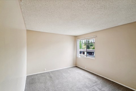 the spacious living room of an apartment with carpet and a window